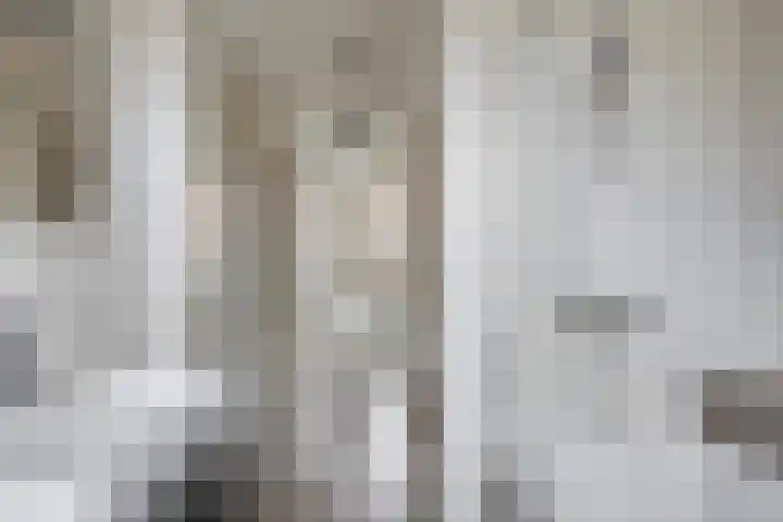 Ten Veldhuize 8 Heerde thumbnail 15