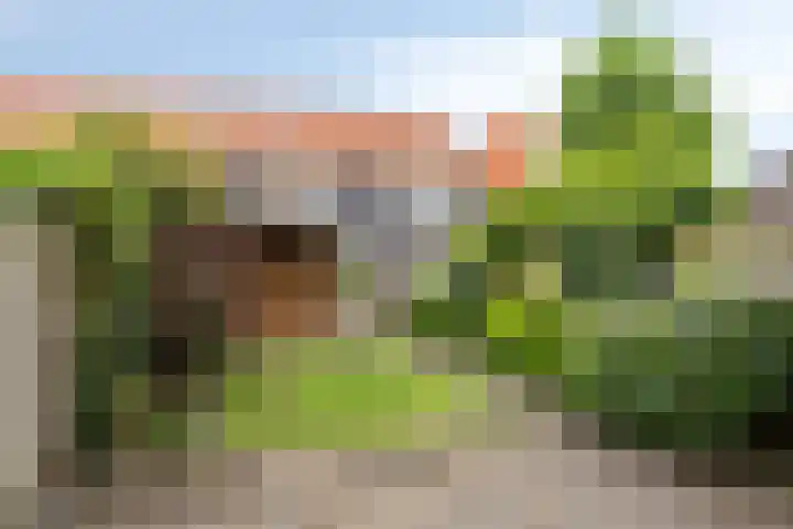 Ten Veldhuize 8 Heerde thumbnail 22