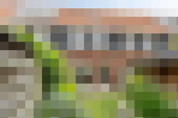 Ten Veldhuize 8 Heerde thumbnail 24