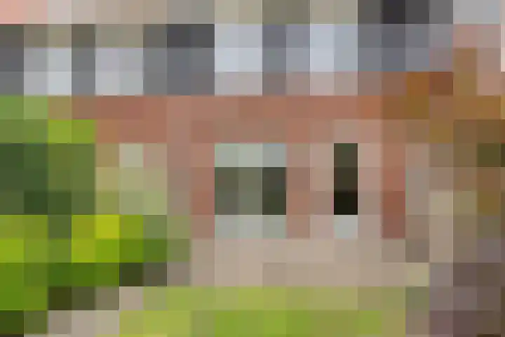 Ten Veldhuize 8 Heerde thumbnail 26