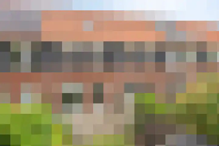 Ten Veldhuize 8 Heerde thumbnail 27
