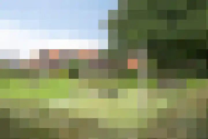 Ten Veldhuize 8 Heerde thumbnail 28