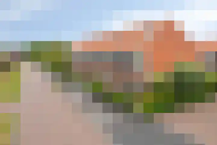 Ten Veldhuize 8 Heerde thumbnail 29