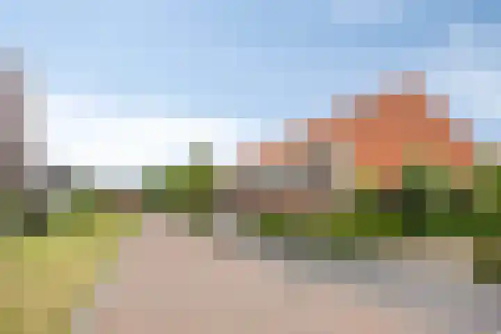 Ten Veldhuize 8 Heerde thumbnail 30