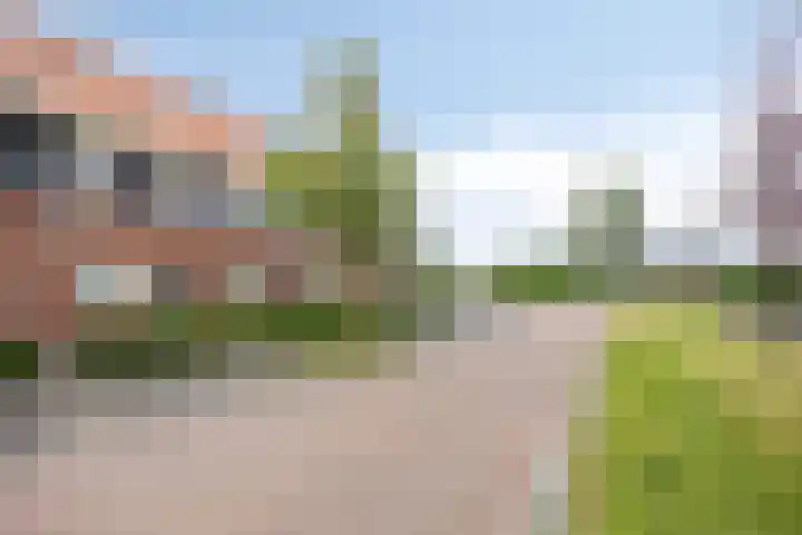 Ten Veldhuize 8 Heerde thumbnail 31