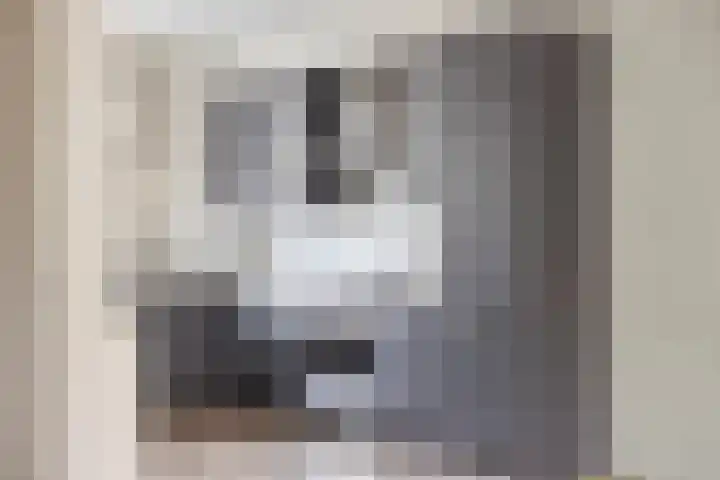 Ten Veldhuize 8 Heerde thumbnail 8