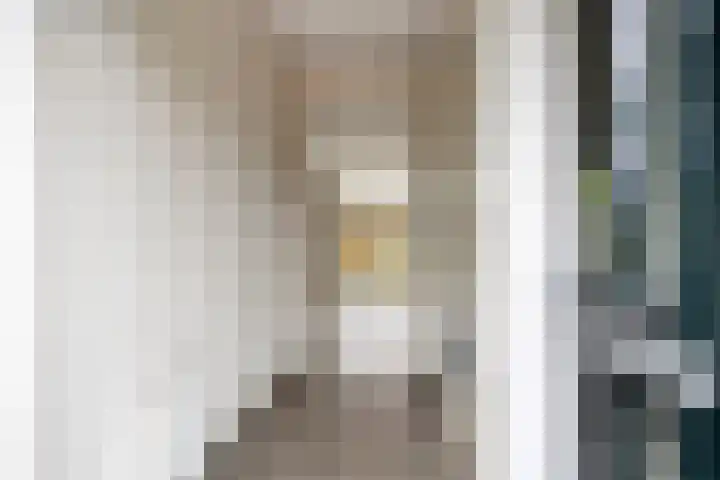 Ten Veldhuize 8 Heerde thumbnail 9