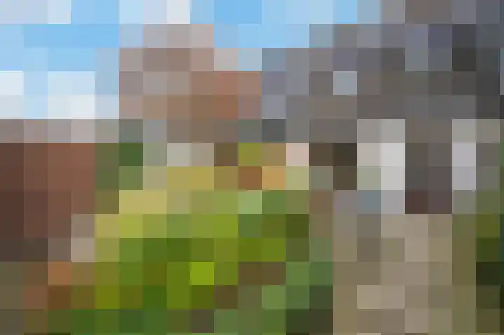 Tenderlaan 13 Apeldoorn thumbnail 11