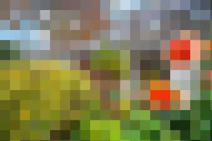 Tenderlaan 13 Apeldoorn thumbnail 12