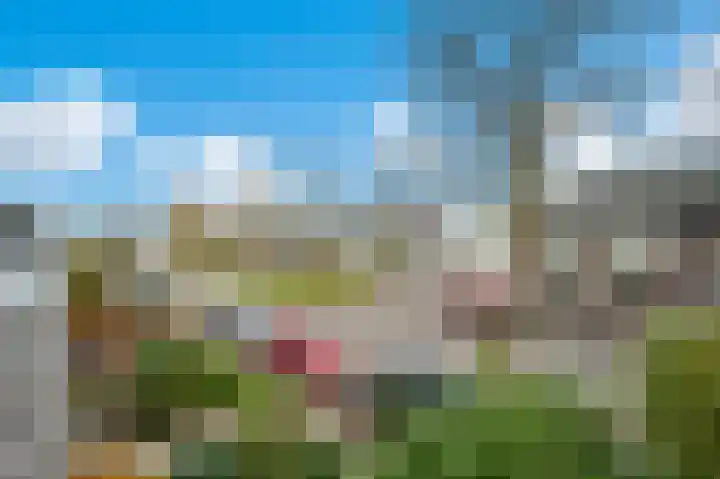 Tenderlaan 13 Apeldoorn thumbnail 23