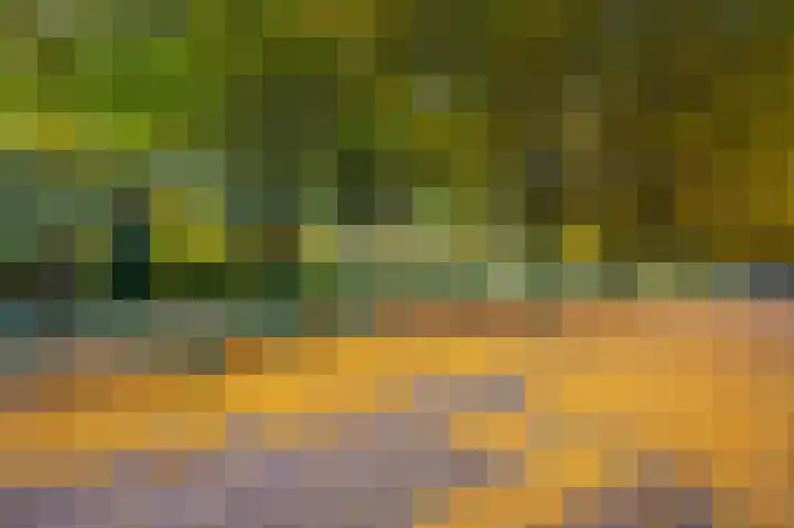 Tenderlaan 13 Apeldoorn thumbnail 26