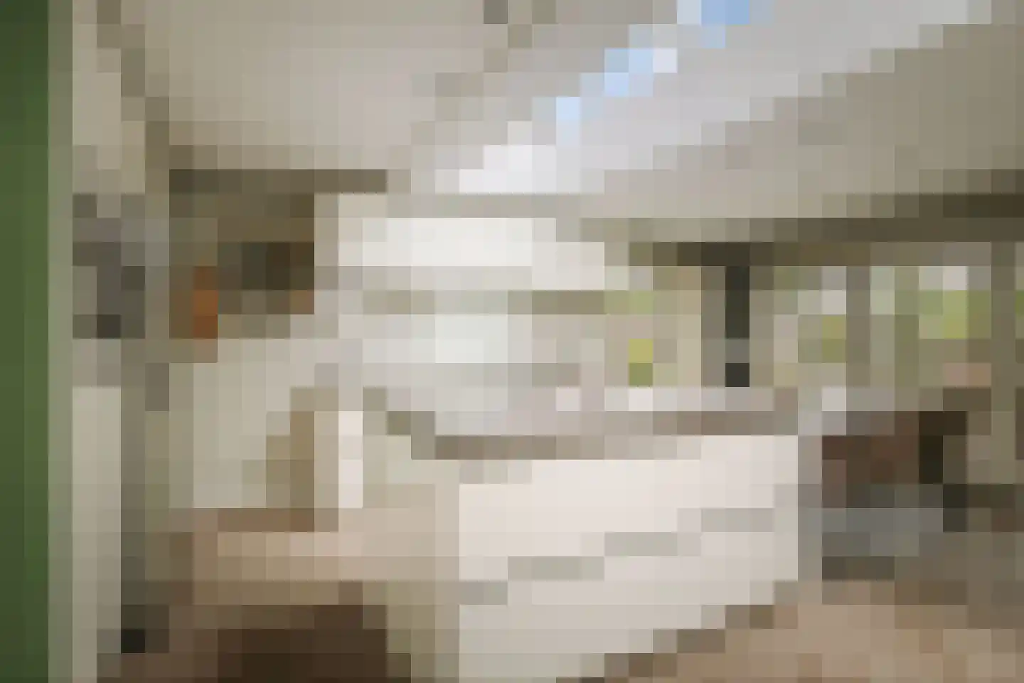 Tenderlaan 34 Apeldoorn thumbnail 12