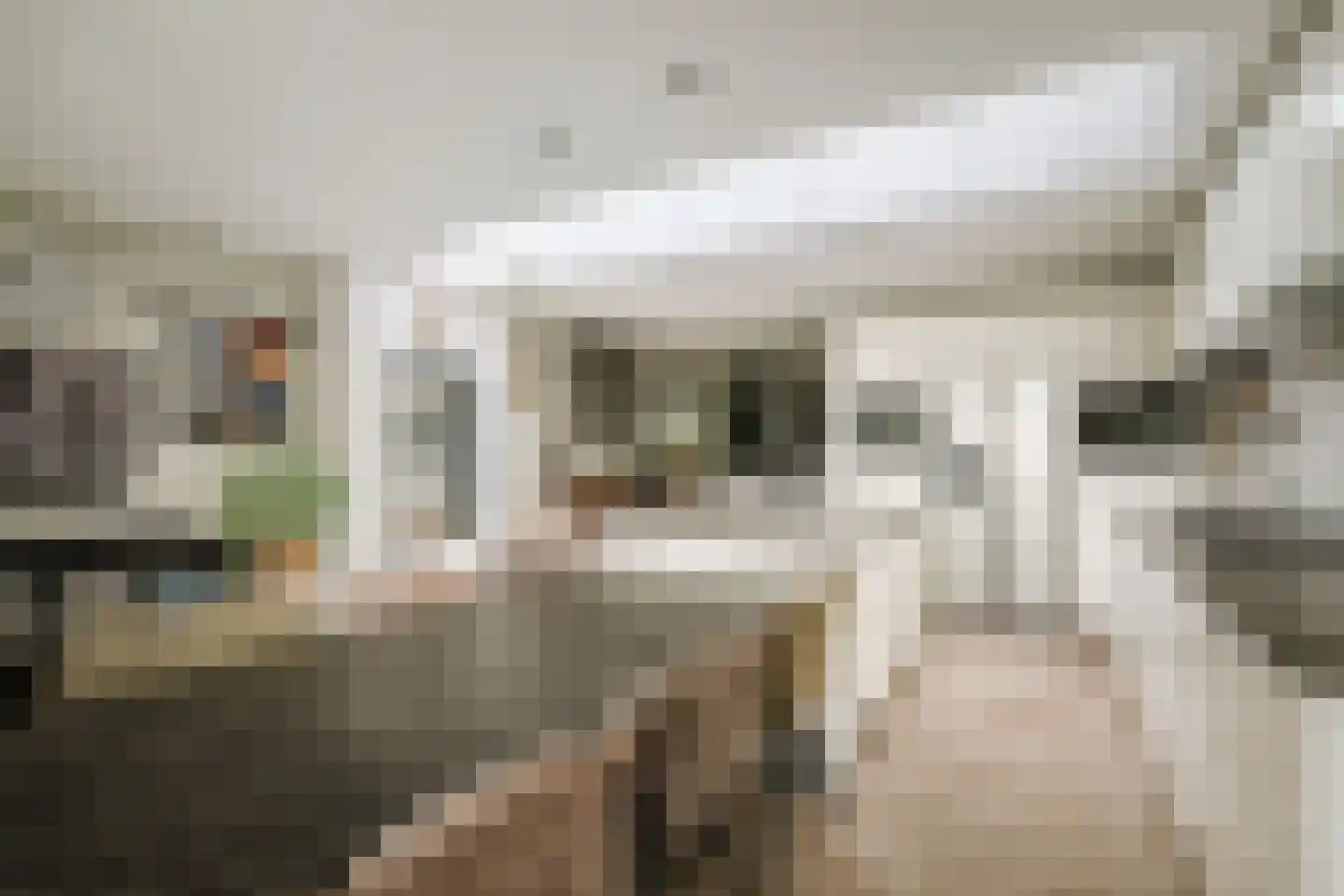 Tenderlaan 34 Apeldoorn thumbnail 14