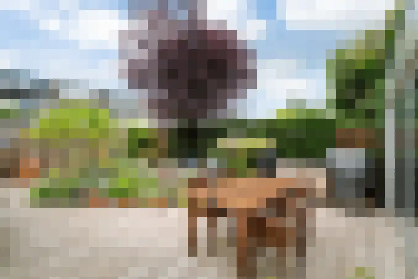Tenderlaan 34 Apeldoorn thumbnail 16