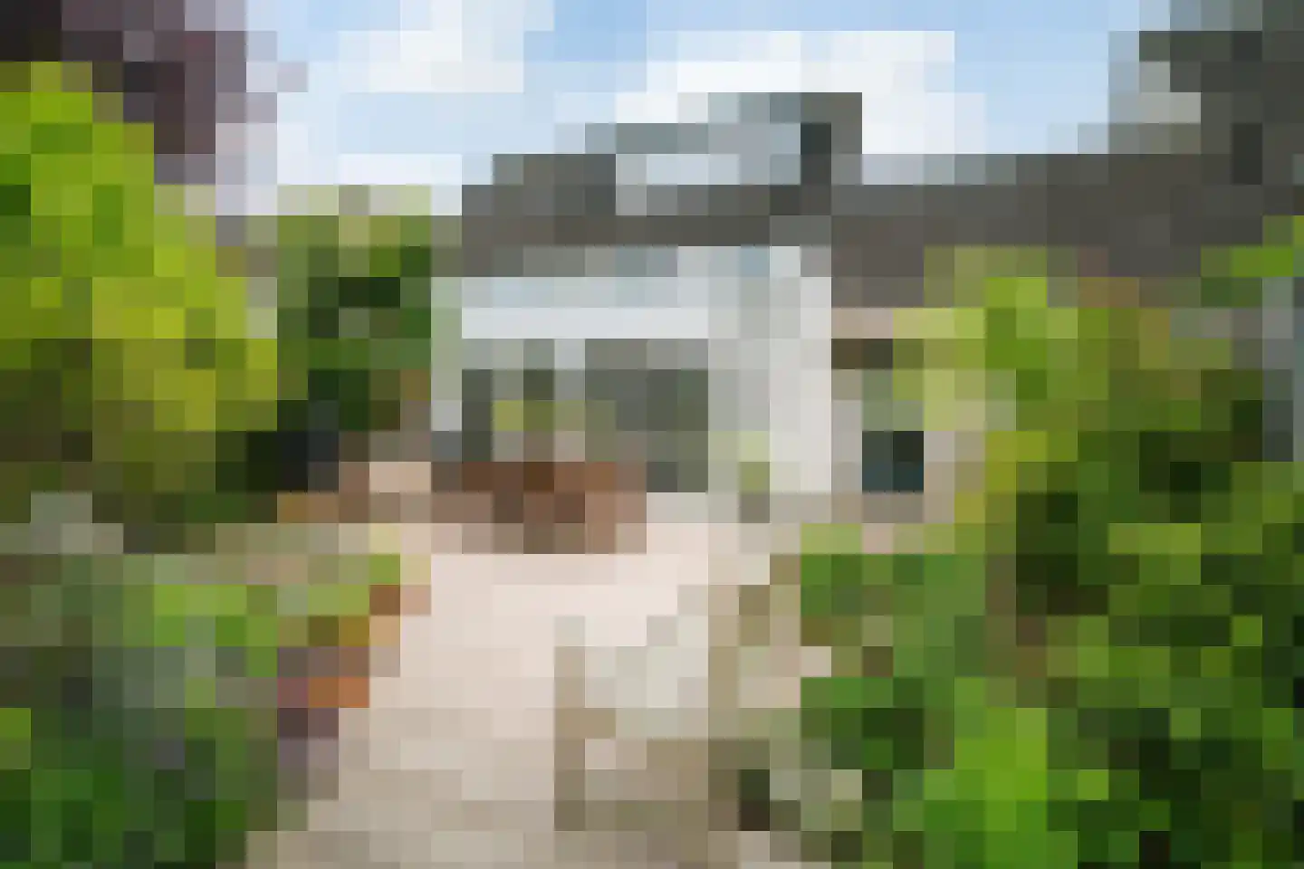 Tenderlaan 34 Apeldoorn thumbnail 18