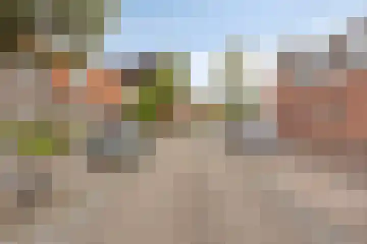 Tenelenweg 100 Voerendaal thumbnail 45
