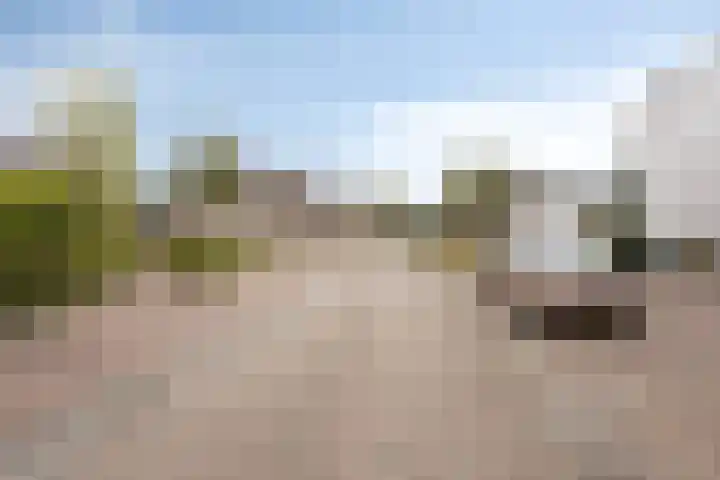 Tenelenweg 100 Voerendaal thumbnail 46
