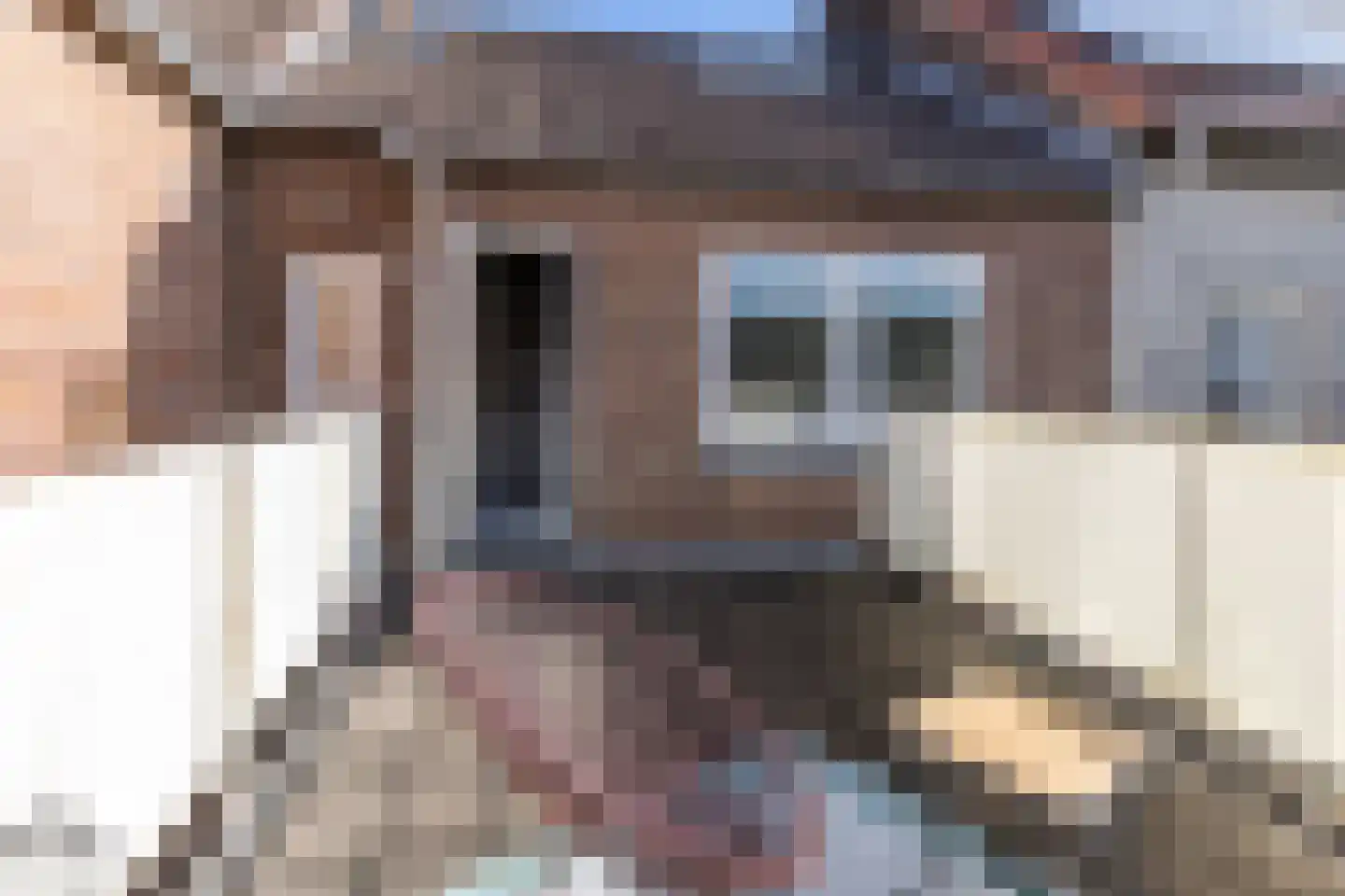 Tenelenweg 110 Voerendaal thumbnail 29