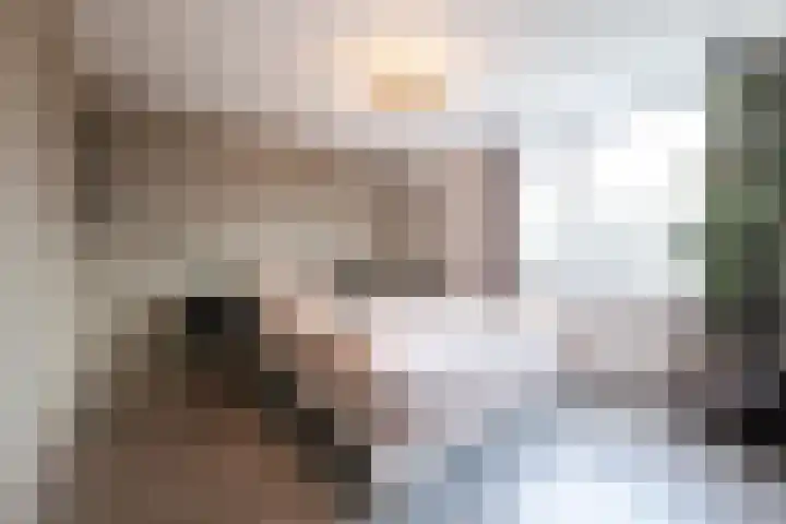 Tenellalaan 19 Hellevoetsluis thumbnail 33