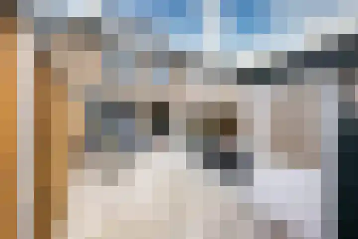 Tenellalaan 19 Hellevoetsluis thumbnail 6
