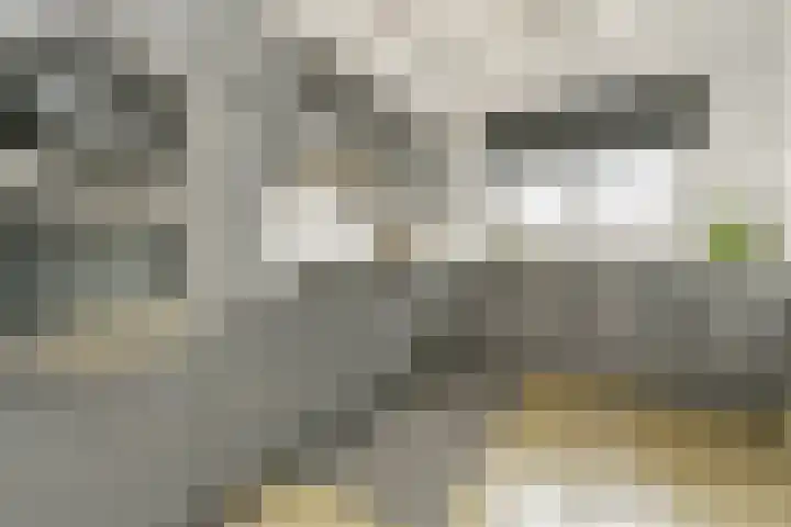 Tenerife 12 Zoetermeer thumbnail 11
