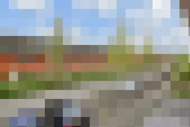 Tenerife 12 Zoetermeer thumbnail 42