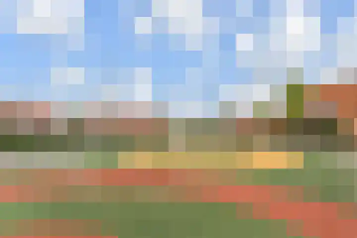Tenerife 12 Zoetermeer thumbnail 43