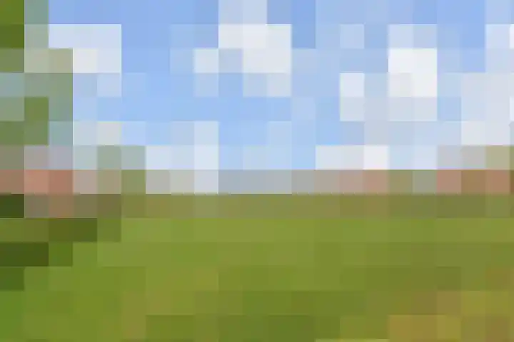 Tenerife 12 Zoetermeer thumbnail 44