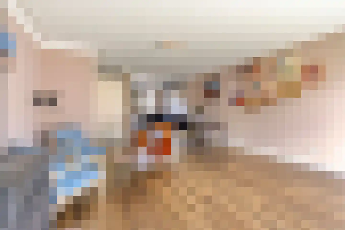 Tenerife 14 Zoetermeer thumbnail 11