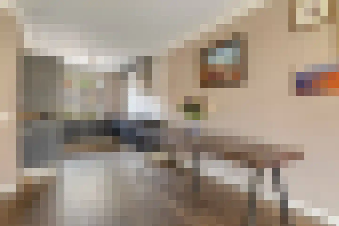 Tenerife 14 Zoetermeer thumbnail 16