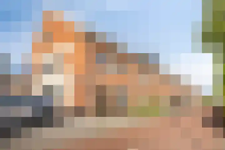 Tenerife 17 Zoetermeer thumbnail 36