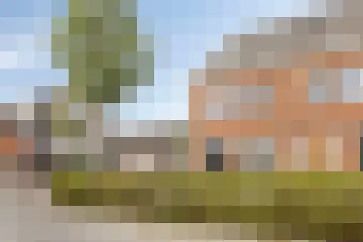 Tenerife 17 Zoetermeer thumbnail 37