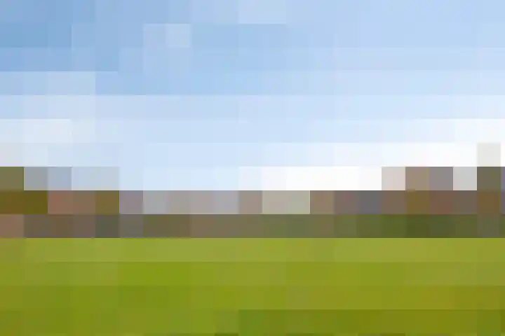 Tenerife 17 Zoetermeer thumbnail 38