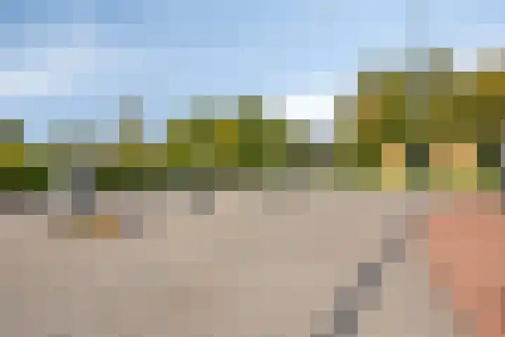 Tenerife 17 Zoetermeer thumbnail 40