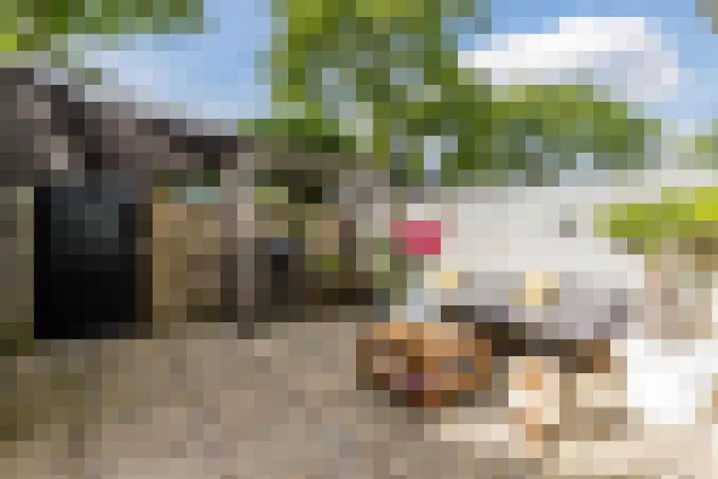 Tenerifestraat 12 Amsterdam thumbnail 12