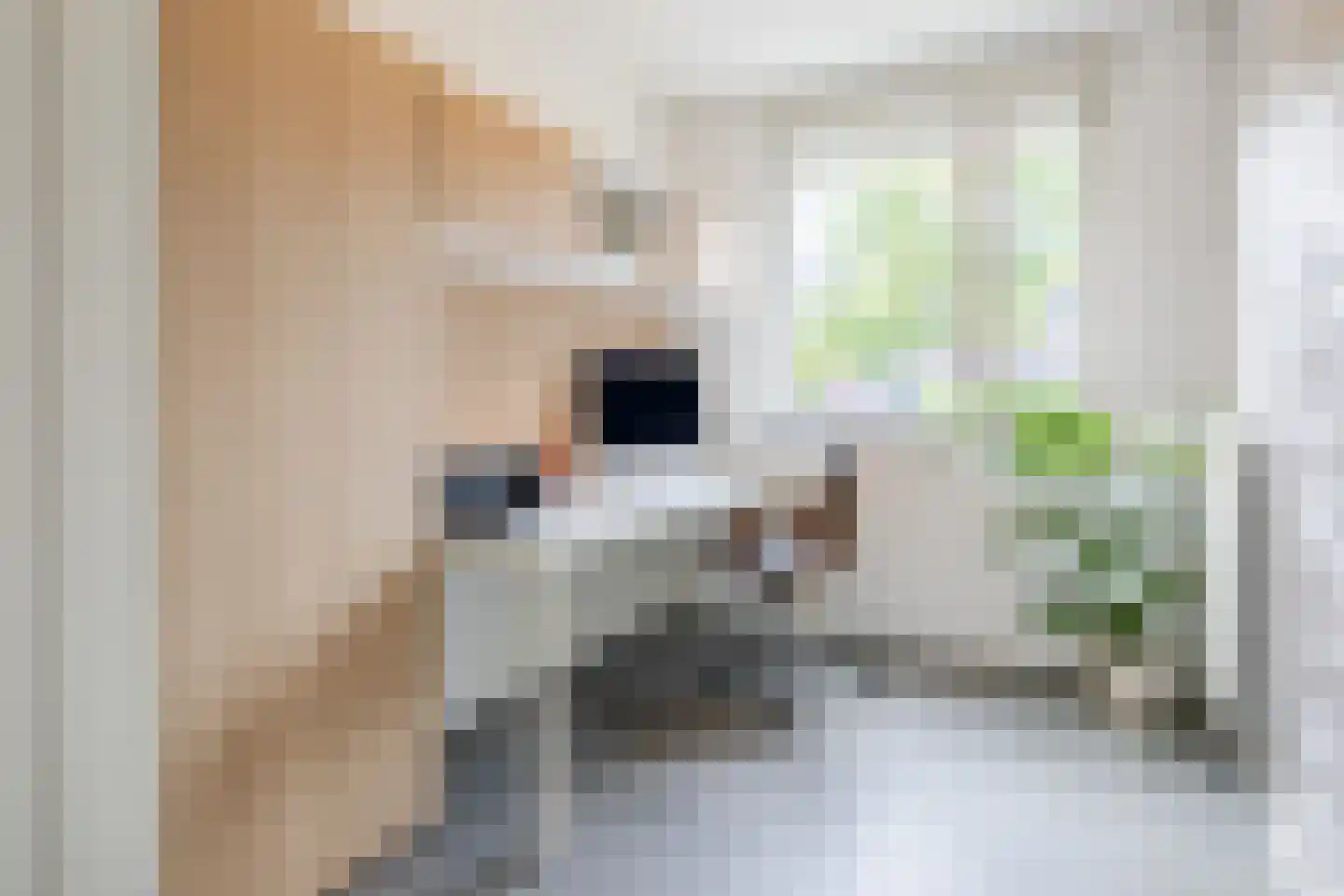 Tenerifestraat 12 Amsterdam thumbnail 24