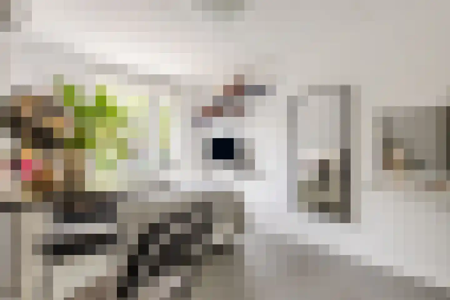 Tenerifestraat 12 Amsterdam thumbnail 26