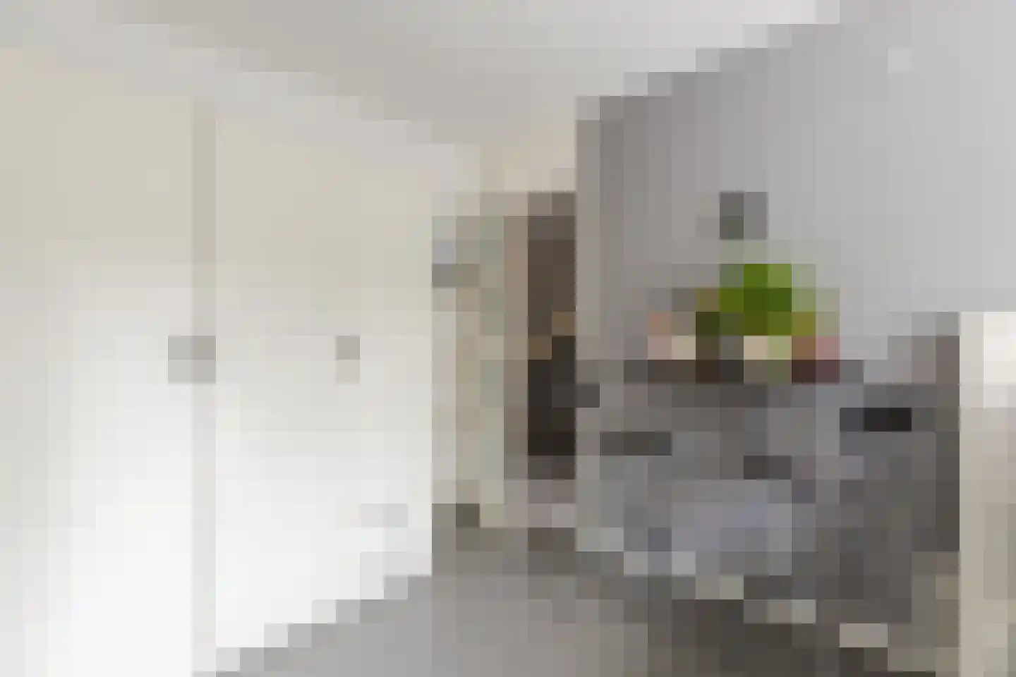 Tenerifestraat 12 Amsterdam thumbnail 27