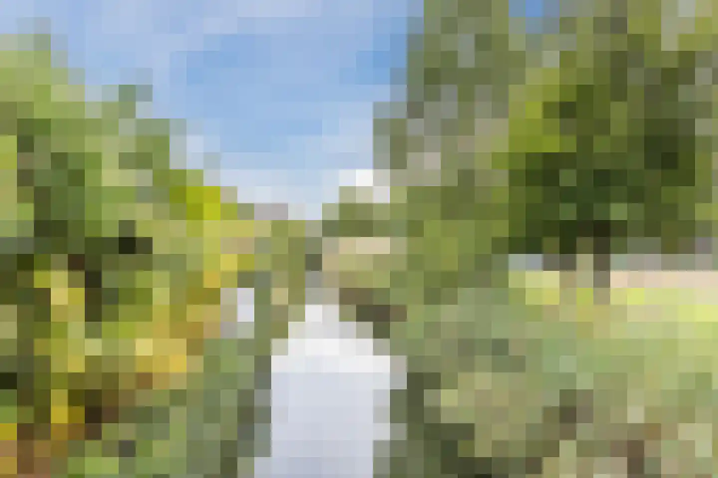 Tenerifestraat 12 Amsterdam thumbnail 5