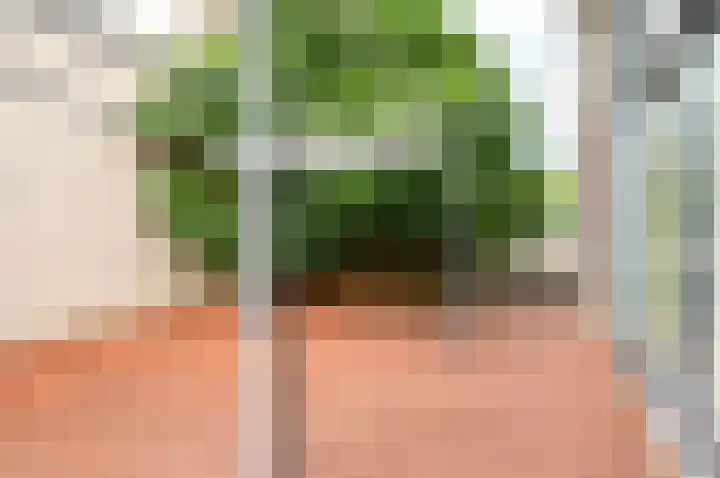 Tenerifestraat 7 Almere thumbnail 37