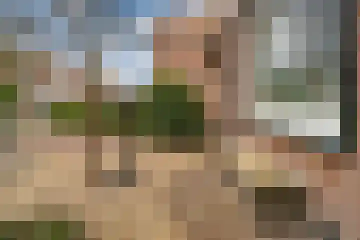 Tengbergenstraat 18 Tolkamer thumbnail 11