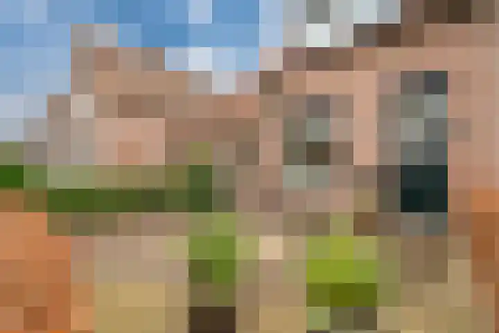 Tengbergenstraat 18 Tolkamer thumbnail 12