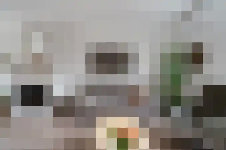 Tengbergenstraat 18 Tolkamer thumbnail 16