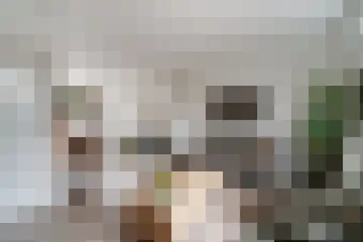 Tengbergenstraat 18 Tolkamer thumbnail 17