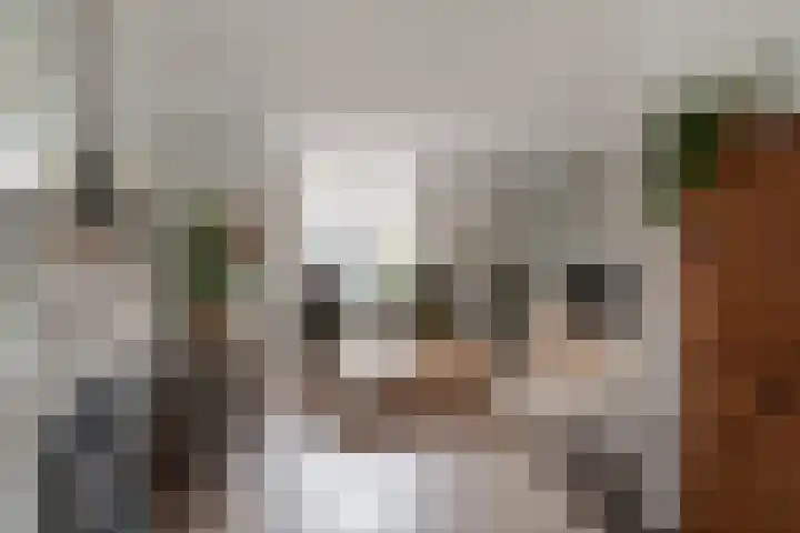Tengbergenstraat 18 Tolkamer thumbnail 20