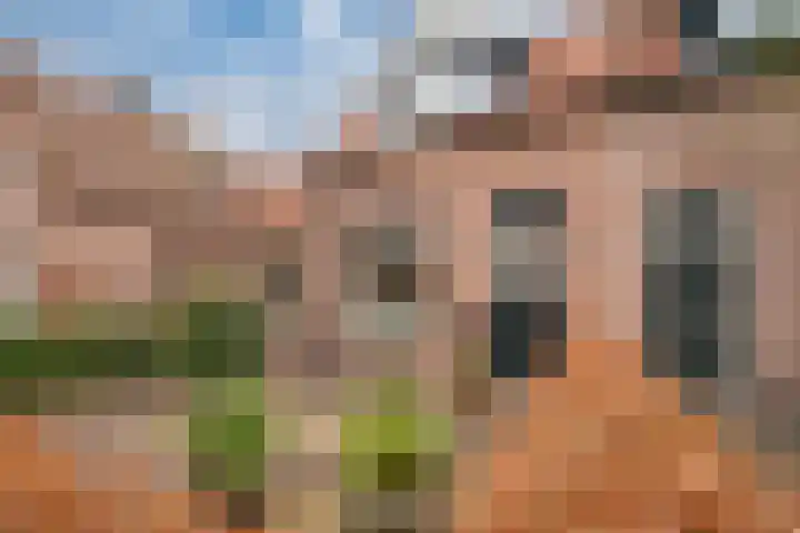 Tengbergenstraat 18 Tolkamer thumbnail 9
