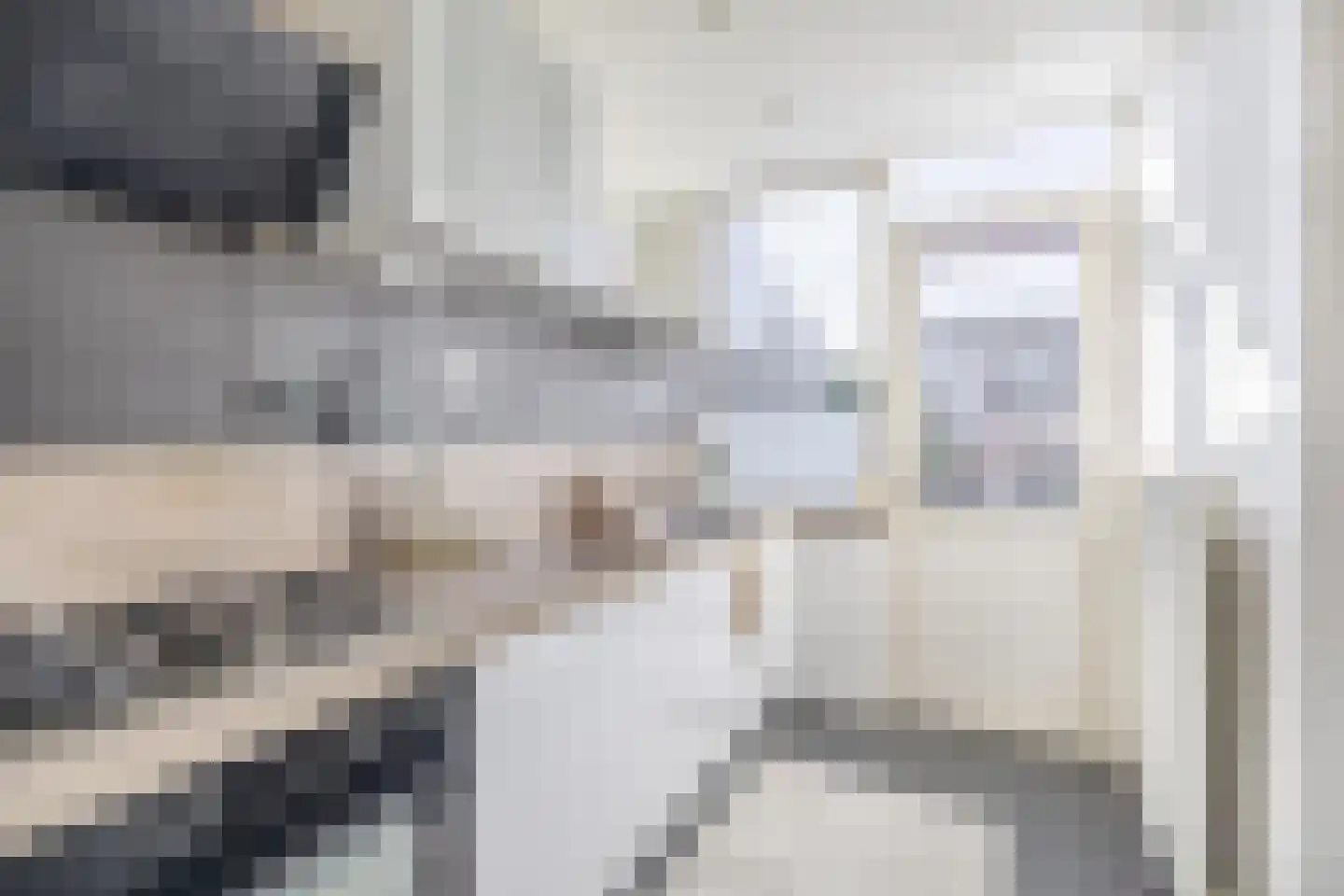 Tengbergenstraat 3 Doesburg thumbnail 11