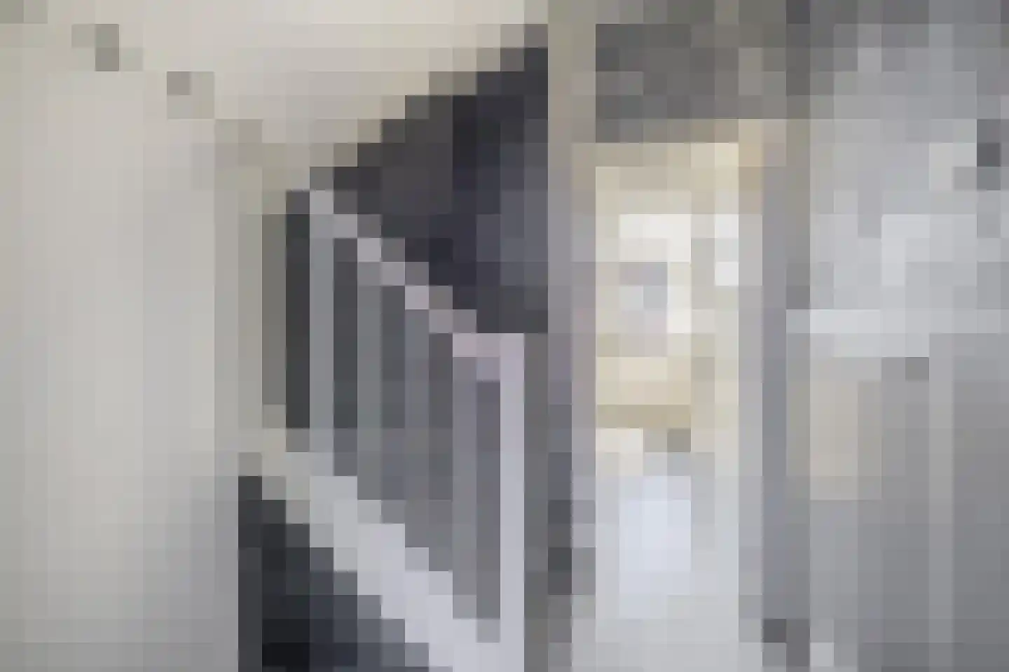 Tengbergenstraat 3 Doesburg thumbnail 20