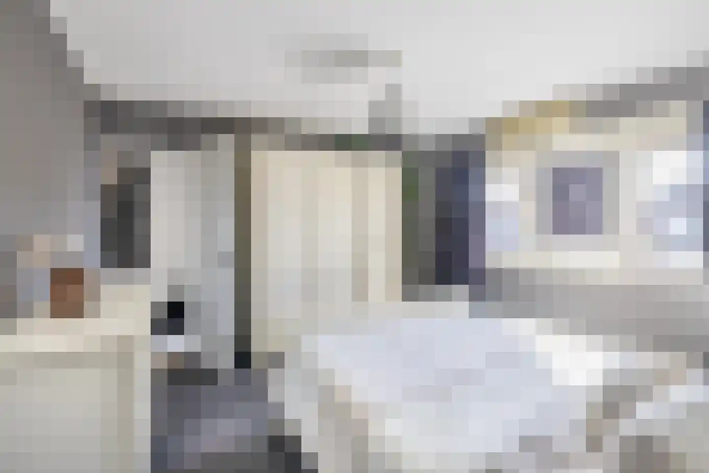 Tengbergenstraat 3 Doesburg thumbnail 23
