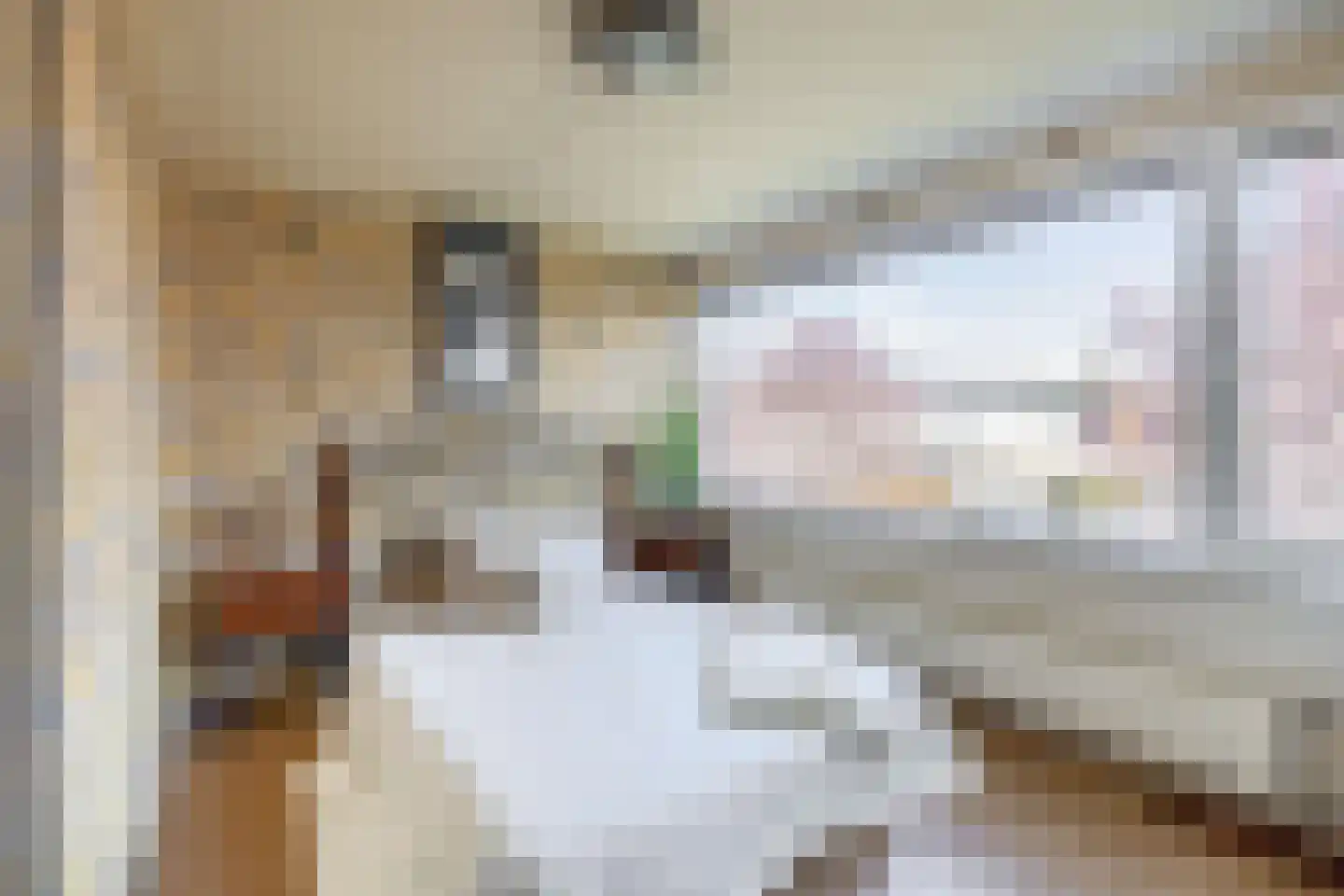 Tengbergenstraat 3 Doesburg thumbnail 25